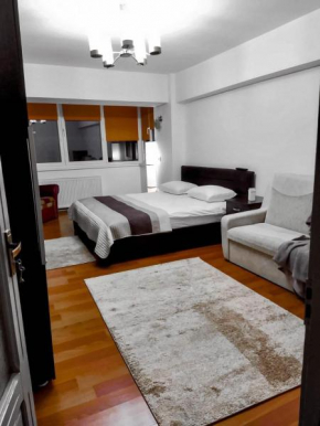 Apartament Miruna